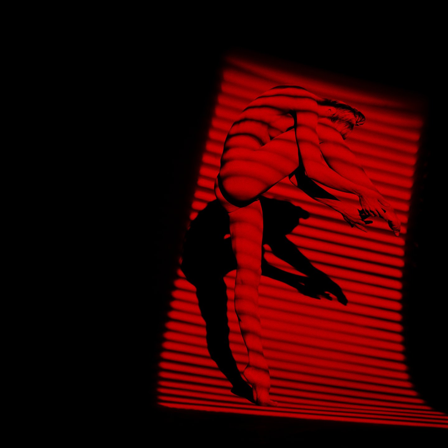 "AWAKENING THE UNKNOWN PART OF MY SOUL" — LOS ANGELES (CA) 2008 — SHADES OF A WOMAN — ARCHIVAL PIGMENT PRINT