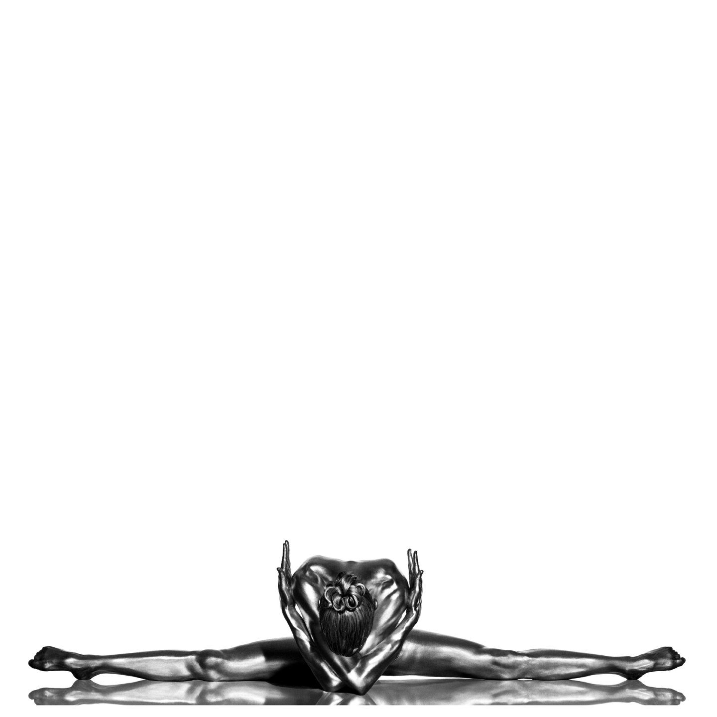 "Gaia" — 2008 — ARGENTUM — Archival pigment print