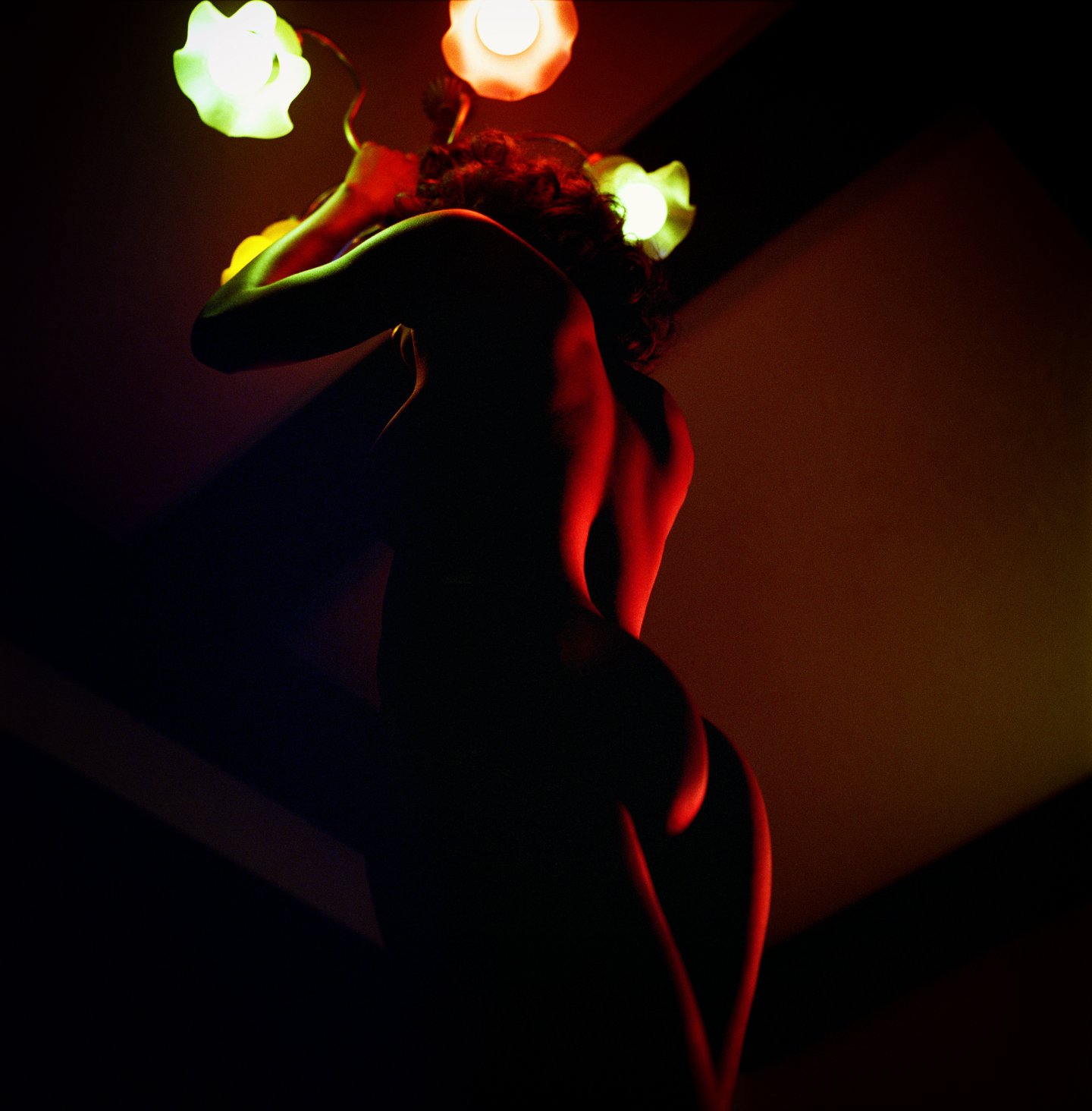 "THE IMMOVABLE IS IN THE MOVING" — LOS ANGELES (CA) 2009 — SHADES OF A WOMAN — ARCHIVAL PIGMENT PRINT
