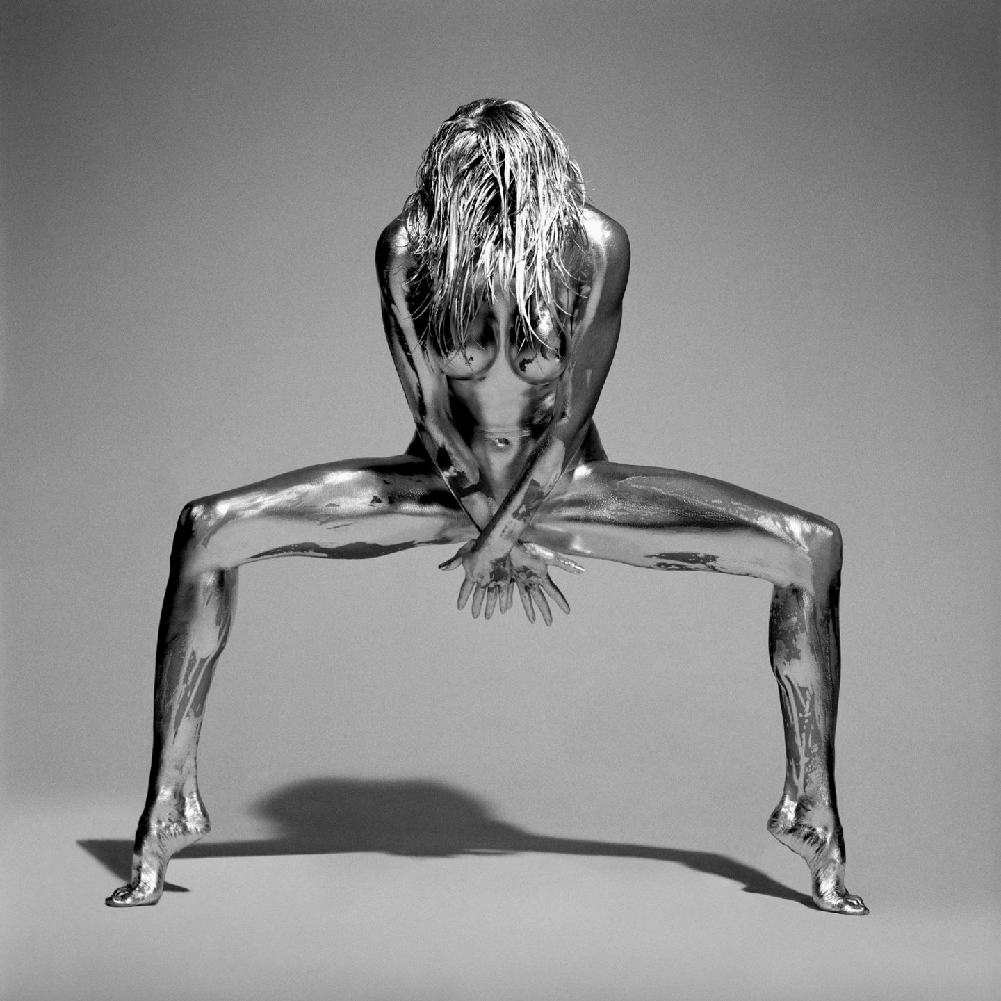 "Silvereye" — 1995 — ARGENTUM — SILVER GELATIN PRINT